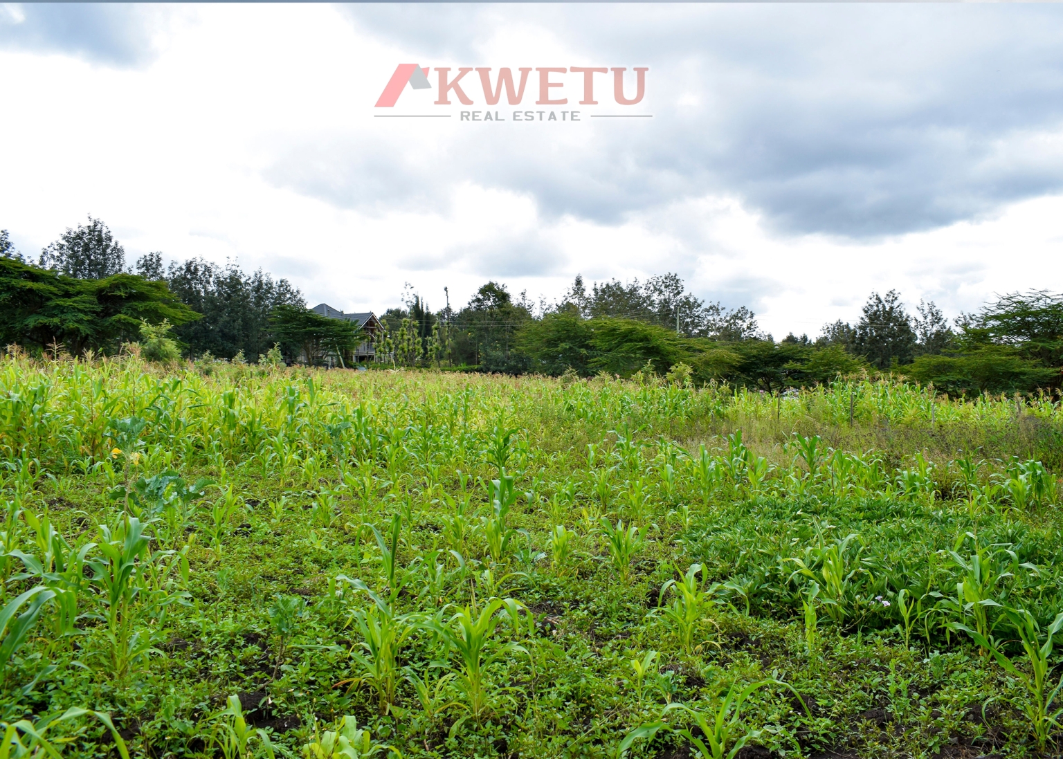 Magnate City – Along Waiyaki Way, Next to Tilisi